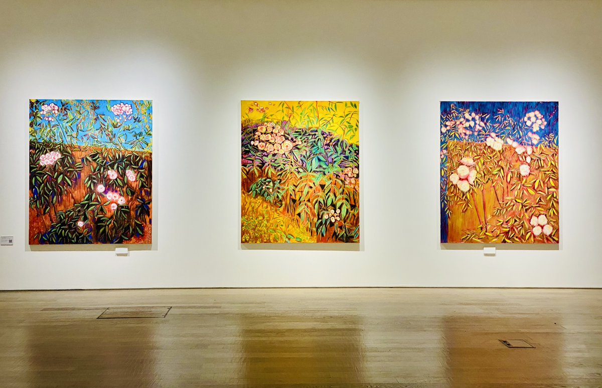 Visit Wrexham tweet media