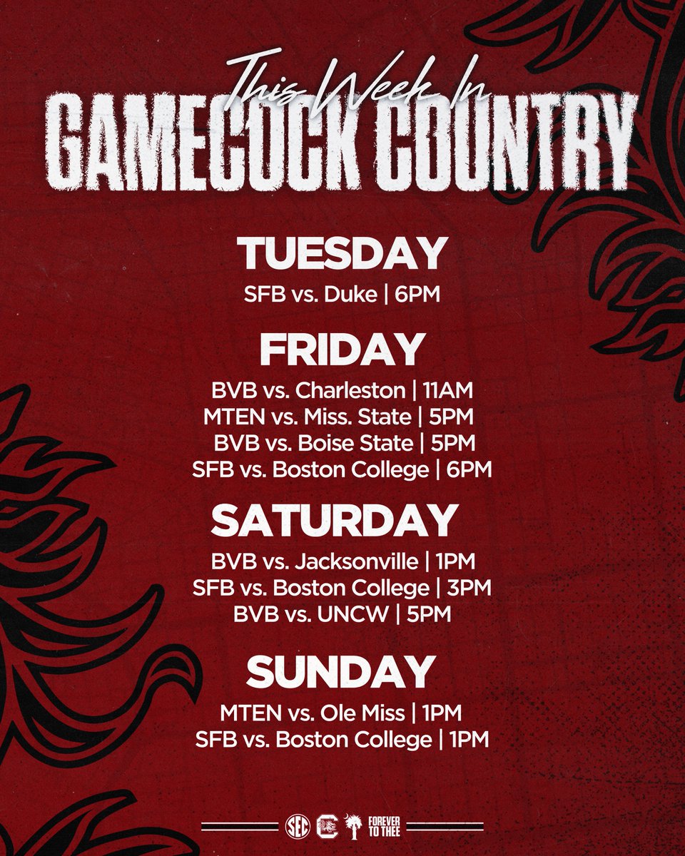 The Cockpit tweet media