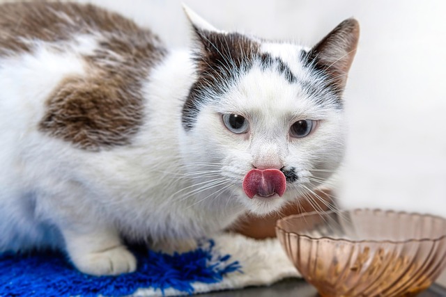 Andreas Finch tweet media