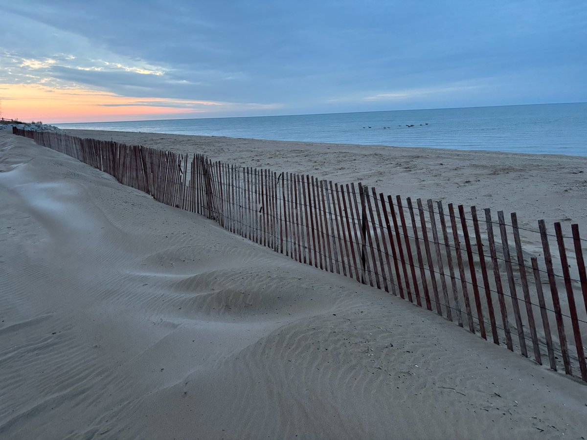 Shiphead Shawn tweet media