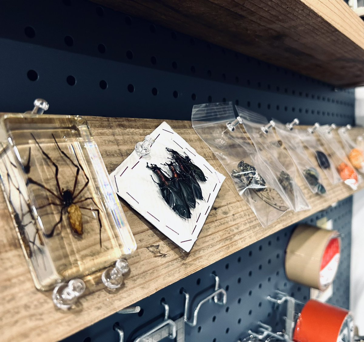 速水駿 tweet media