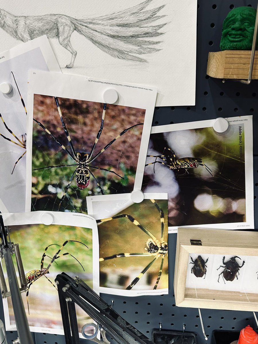 速水駿 tweet media