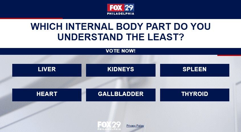 FOX 29 tweet media