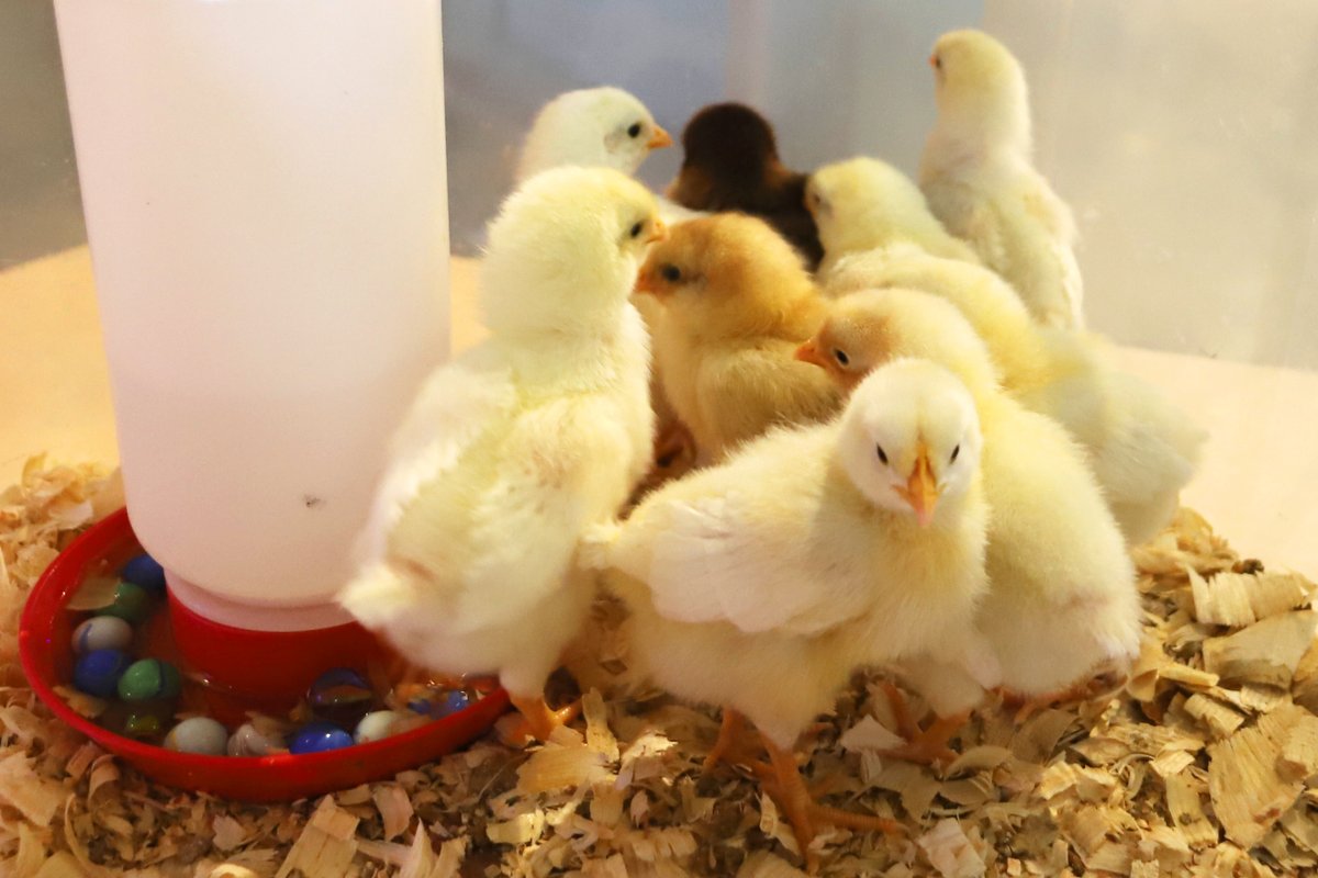 Indiana State Museum and Historic Sites tweet media