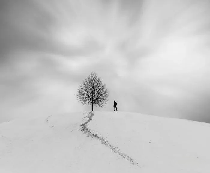 Веселова Ирина tweet media