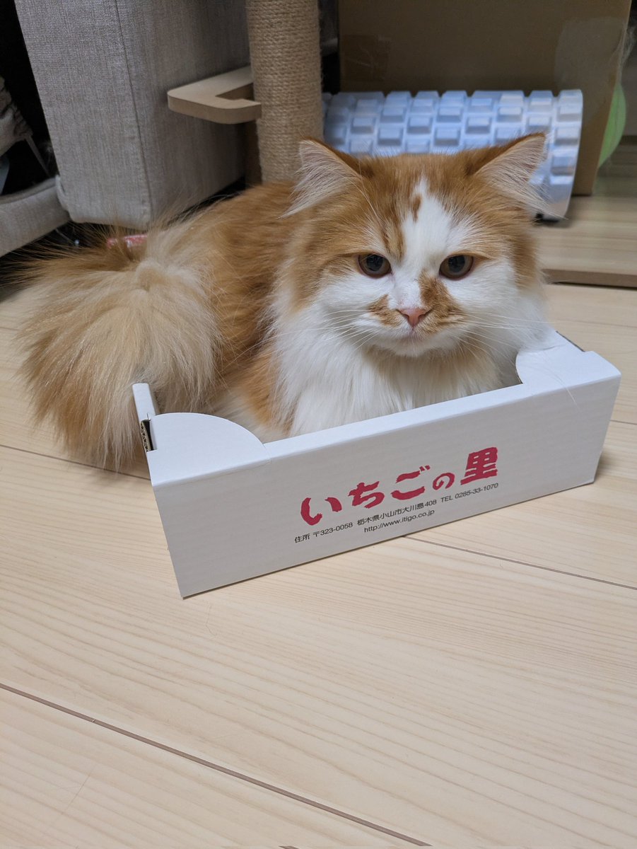 minase0924's tweet photo. 直売所 https://t.co/rJCyPY3zNr