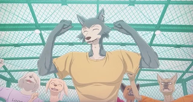 Brixton the RealtFur 🐺🏡 tweet media