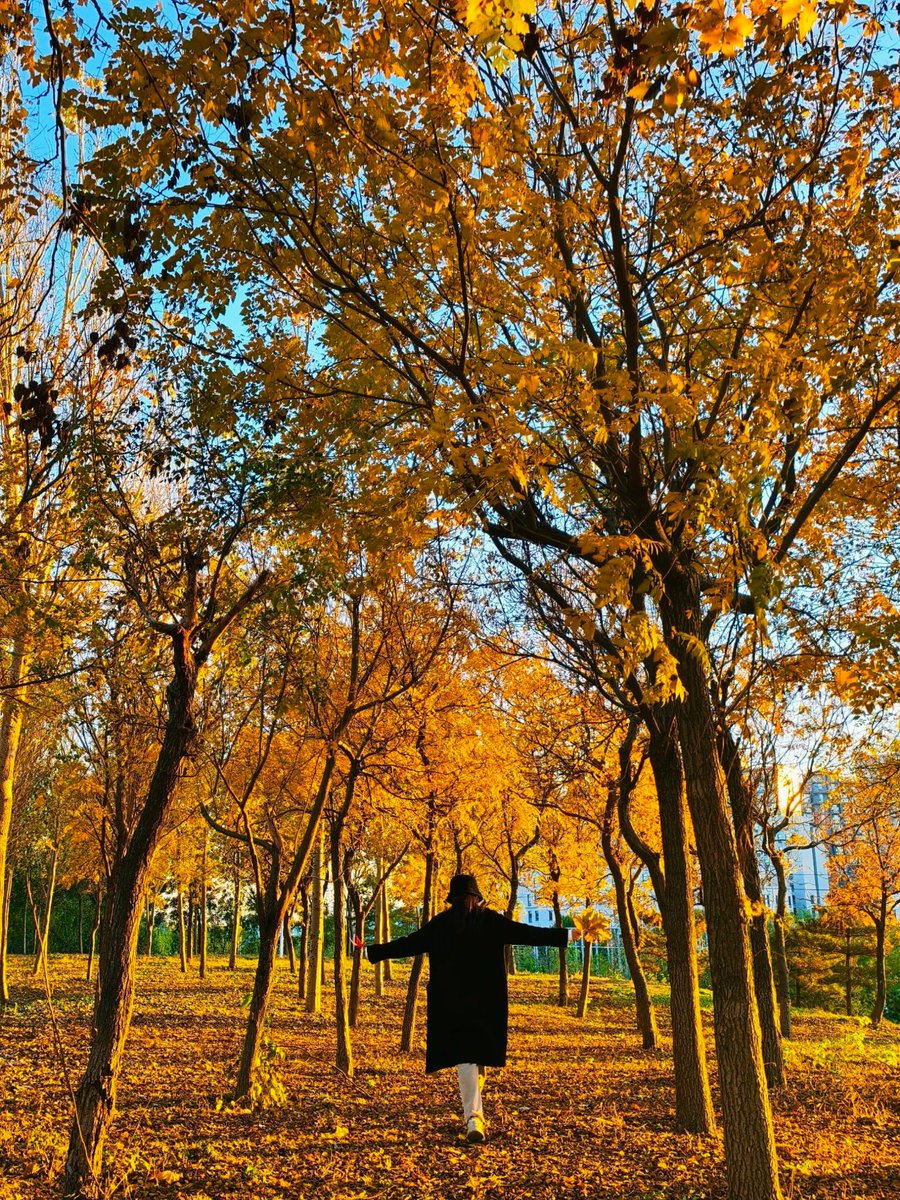 WF Assistant tweet media