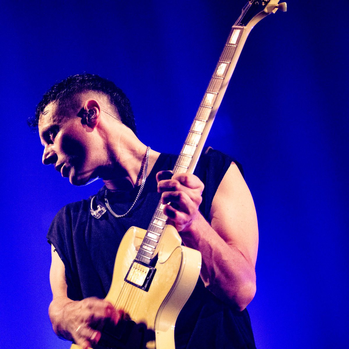 The Maccabees tweet media