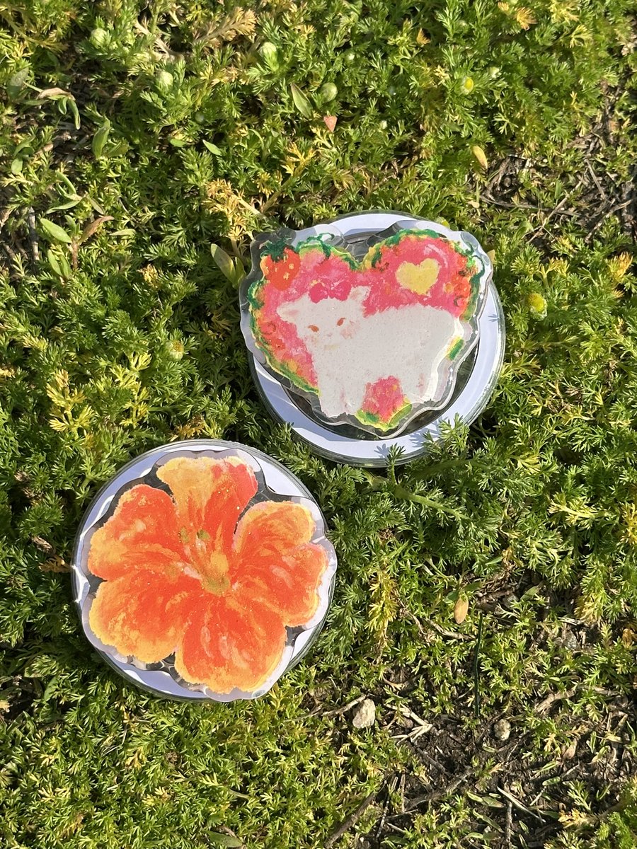 파과 Pagwa tweet media