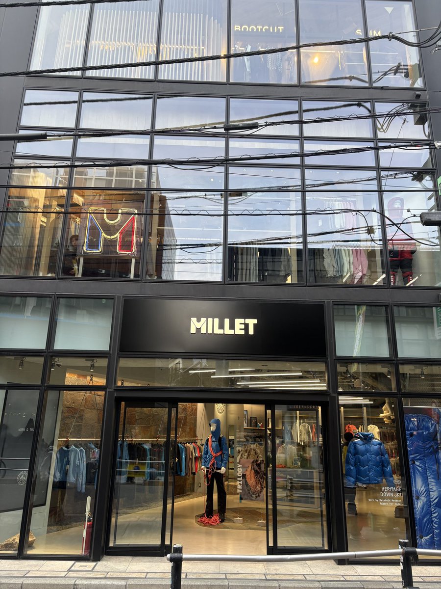 野口絵子 Eko Noguchi tweet media