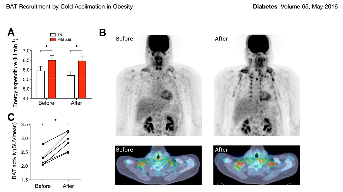 MorozkoForge tweet media