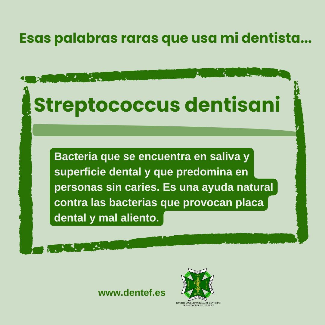 dentistas_tf's tweet photo. #diccionario #odontología #dentistas #streptococcusdentisani #vocabulario #bacterias https://t.co/dBMYmugINl