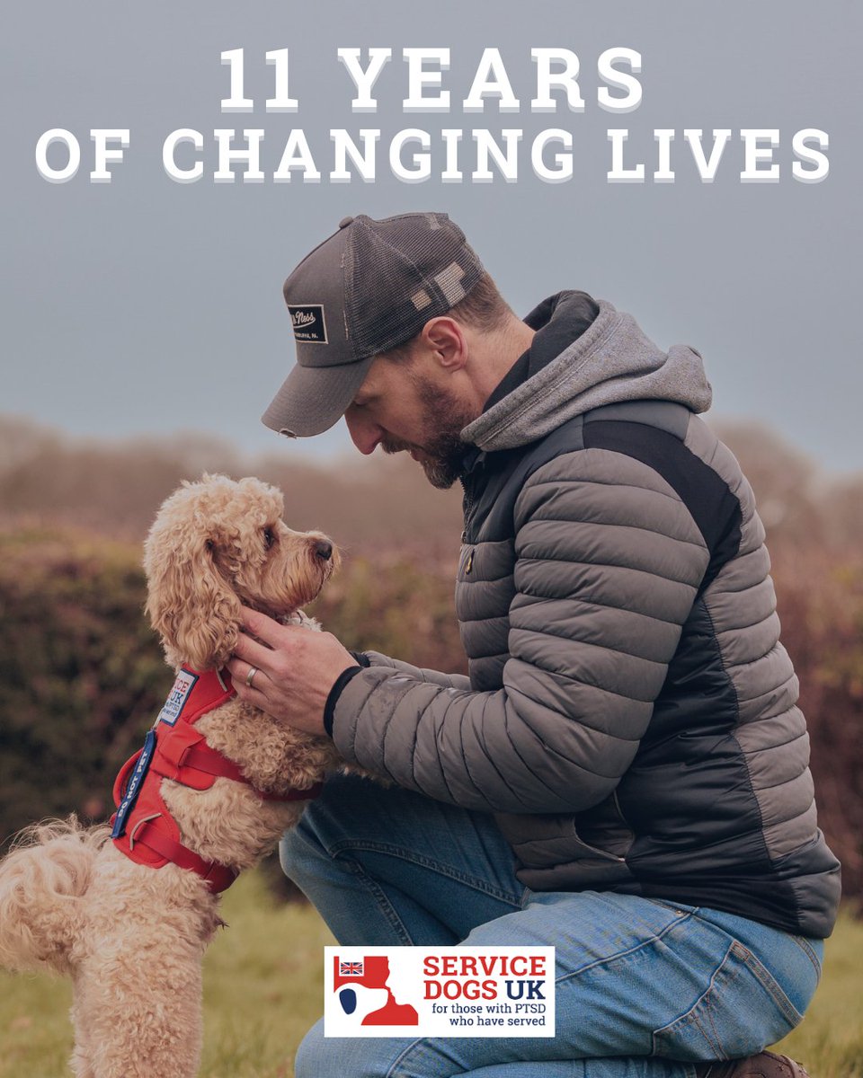 ServiceDogsUK tweet media