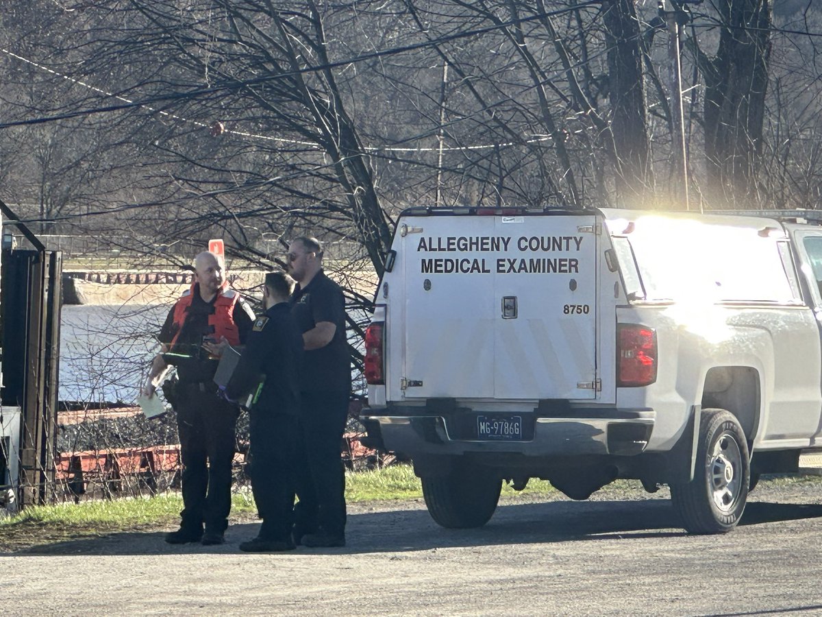 Jennifer Borrasso tweet media