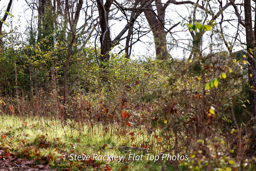 She doesn't see me, but I see her