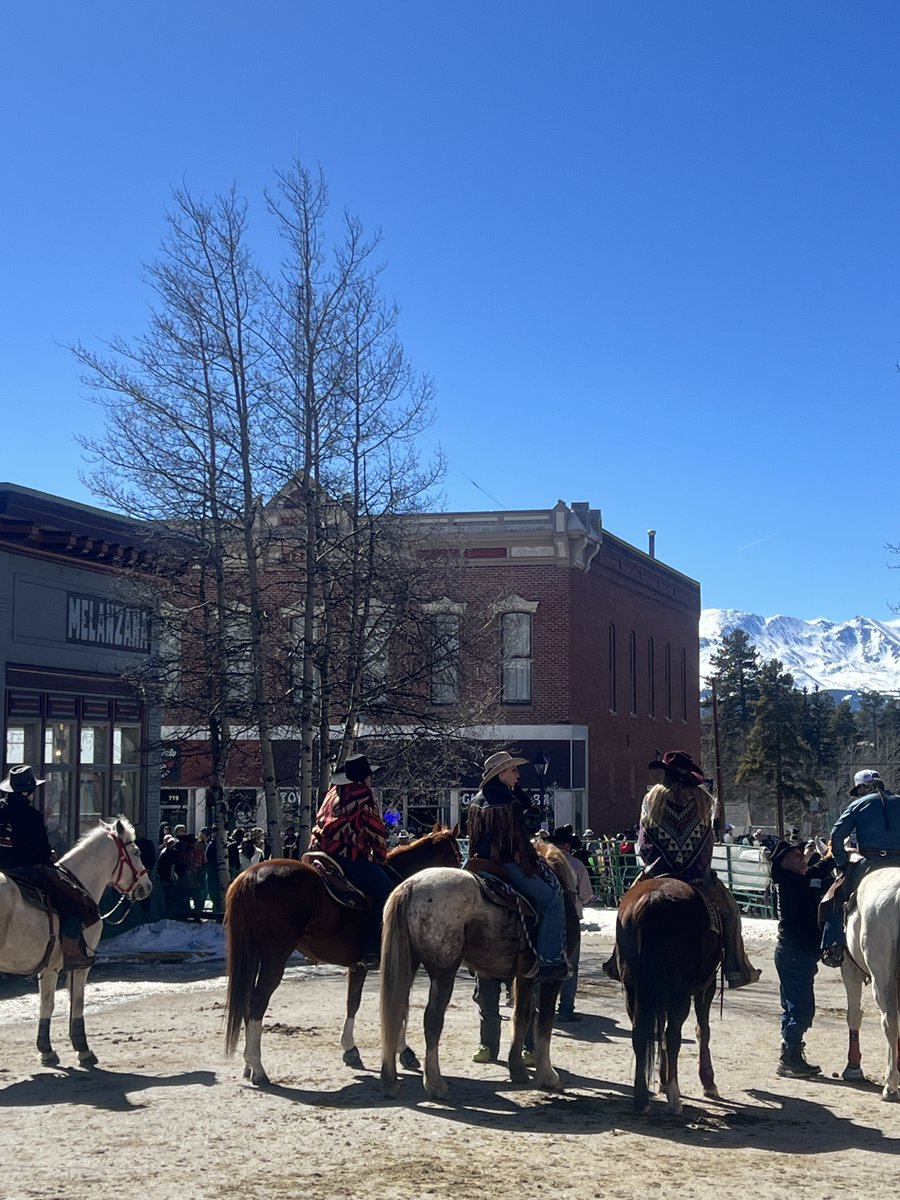 Domain Shane tweet media