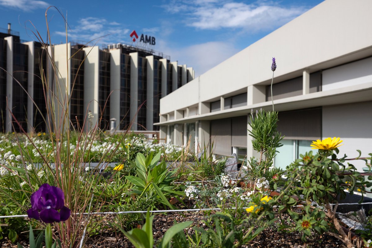 Premsa AMB tweet media