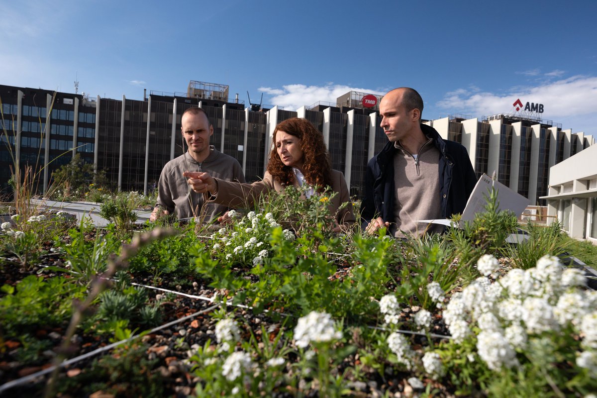 Premsa AMB tweet media