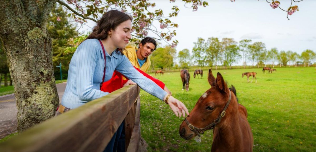 DestinationIre tweet media