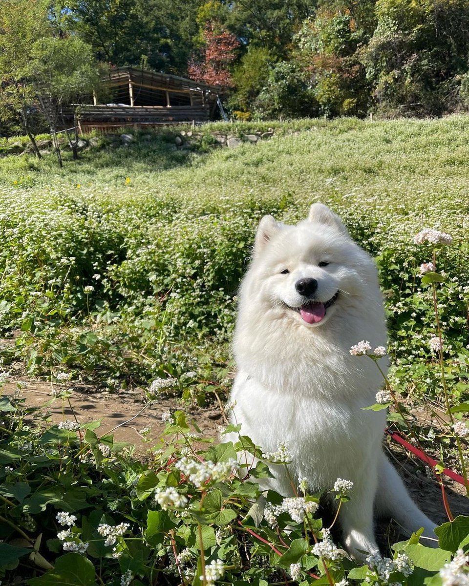 𓇢𓆸 tweet media