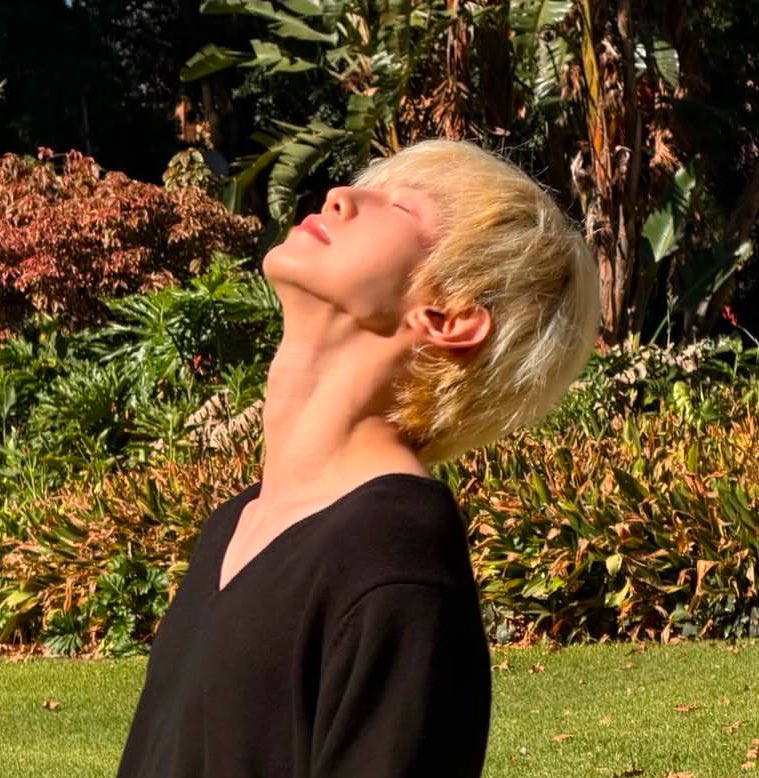 𓇢𓆸 tweet media