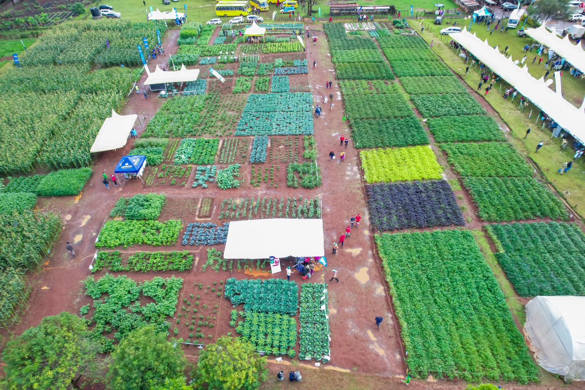 County Government of Kirinyaga tweet media