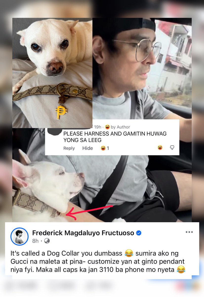 Kapamilya Online World tweet media