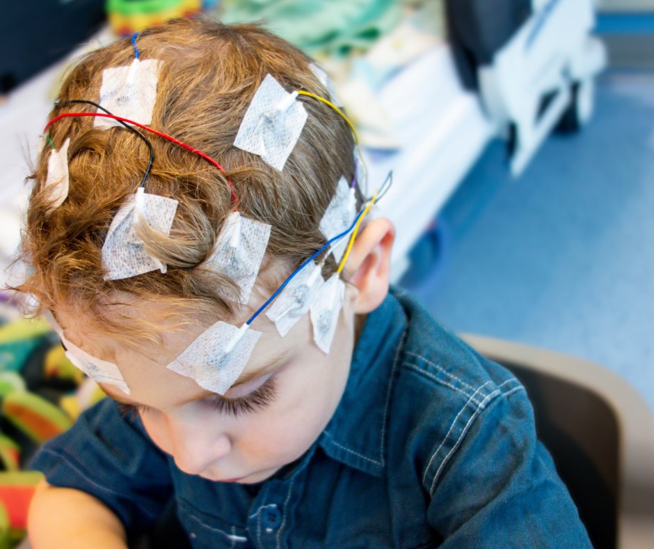 Educate Magazine tweet media