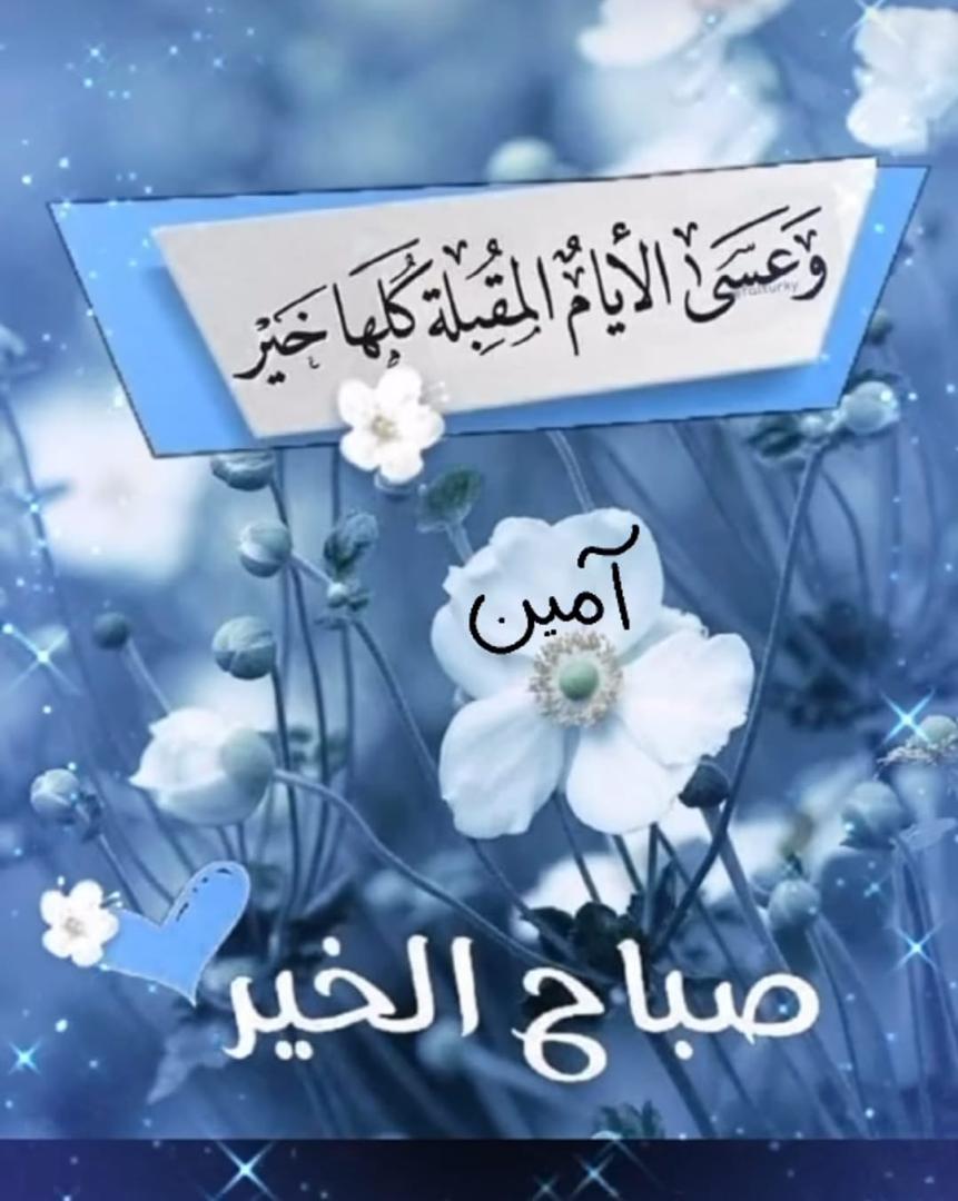 AlariqiAmen's tweet photo. https://t.co/0F6u1Q0Muk