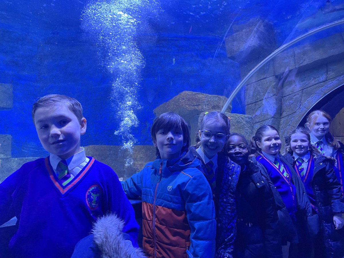 St. Thérèse of Lisieux Catholic Primary School tweet media