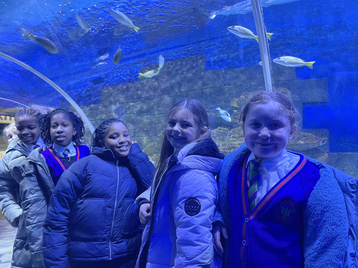 St. Thérèse of Lisieux Catholic Primary School tweet media