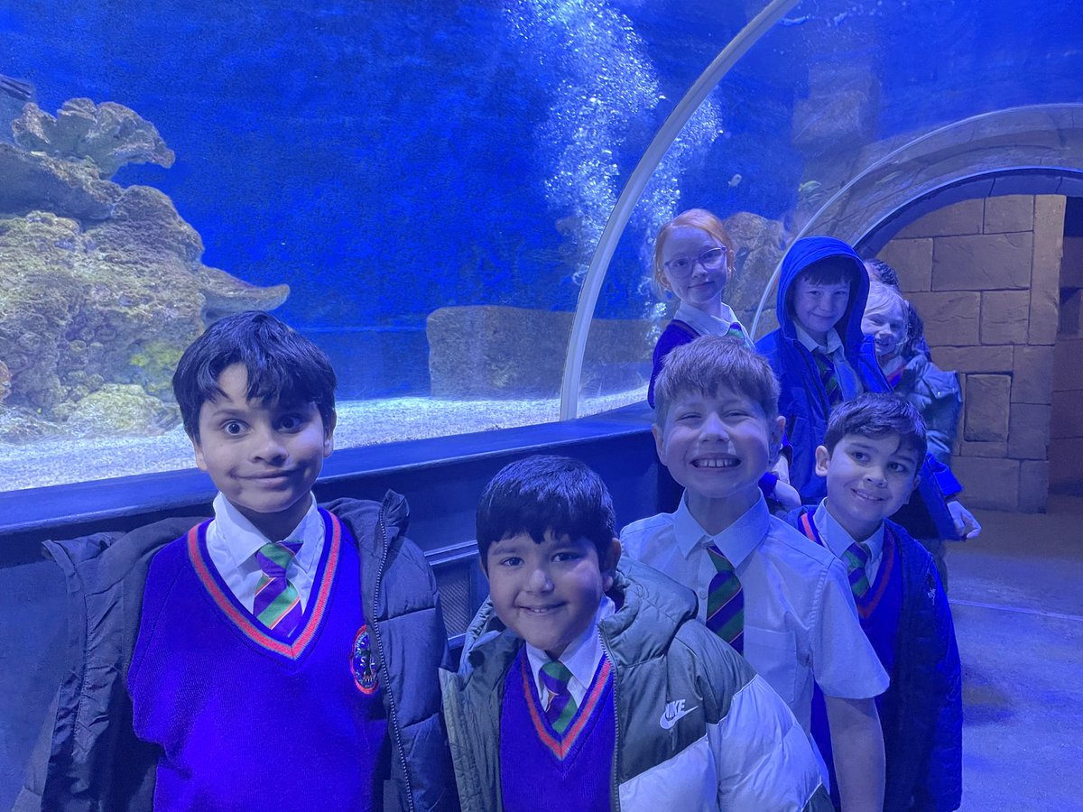 St. Thérèse of Lisieux Catholic Primary School tweet media