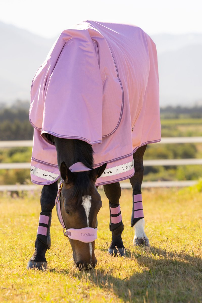 oakfieldsaddle's tweet photo. Look what's just landed!😍

LeMieux Arika Ripstop turnout rugs in Fondant and Jungle!🩷💚

Available in 0g or 50g fill

Grab yours here before they sell out!! ➡️➡️ https://t.co/ay7AVLtXRI https://t.co/QxJ94HlD2i