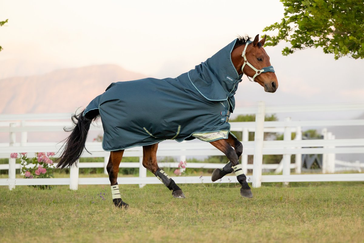 oakfieldsaddle's tweet photo. Look what's just landed!😍

LeMieux Arika Ripstop turnout rugs in Fondant and Jungle!🩷💚

Available in 0g or 50g fill

Grab yours here before they sell out!! ➡️➡️ https://t.co/ay7AVLtXRI https://t.co/QxJ94HlD2i