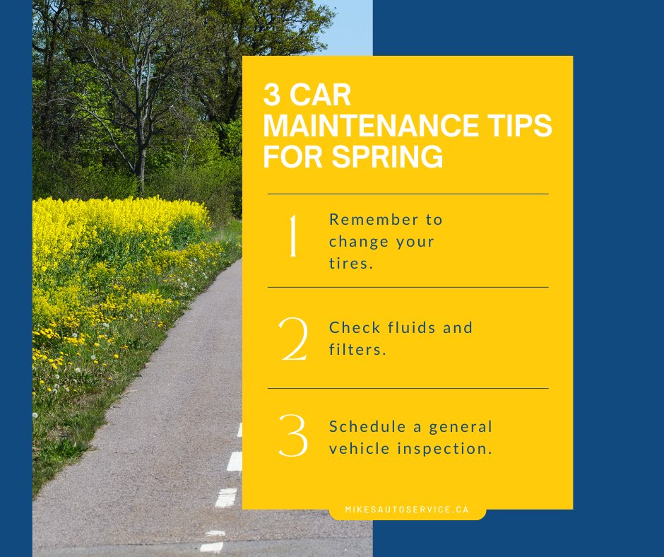 mikesautosvcab's tweet image. Get your car ready for the road ahead. Mike’s Auto Service in Calgary is here to help.
📞 Book your appointment today.

#MikesAutoServiceCalgary #CarMaintenance #CarDiagnostics #WheelAndTireServices #CarInspections #CarRepair #VehicleRepair #VehicleMaintenance #AutoRepairCalgary