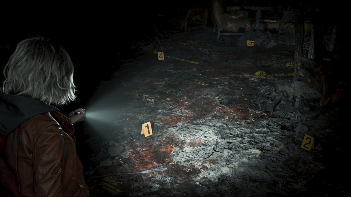 Cuculus 📸 tweet media