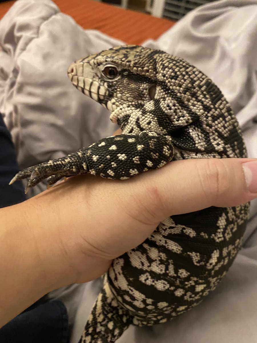 look at my shud son.