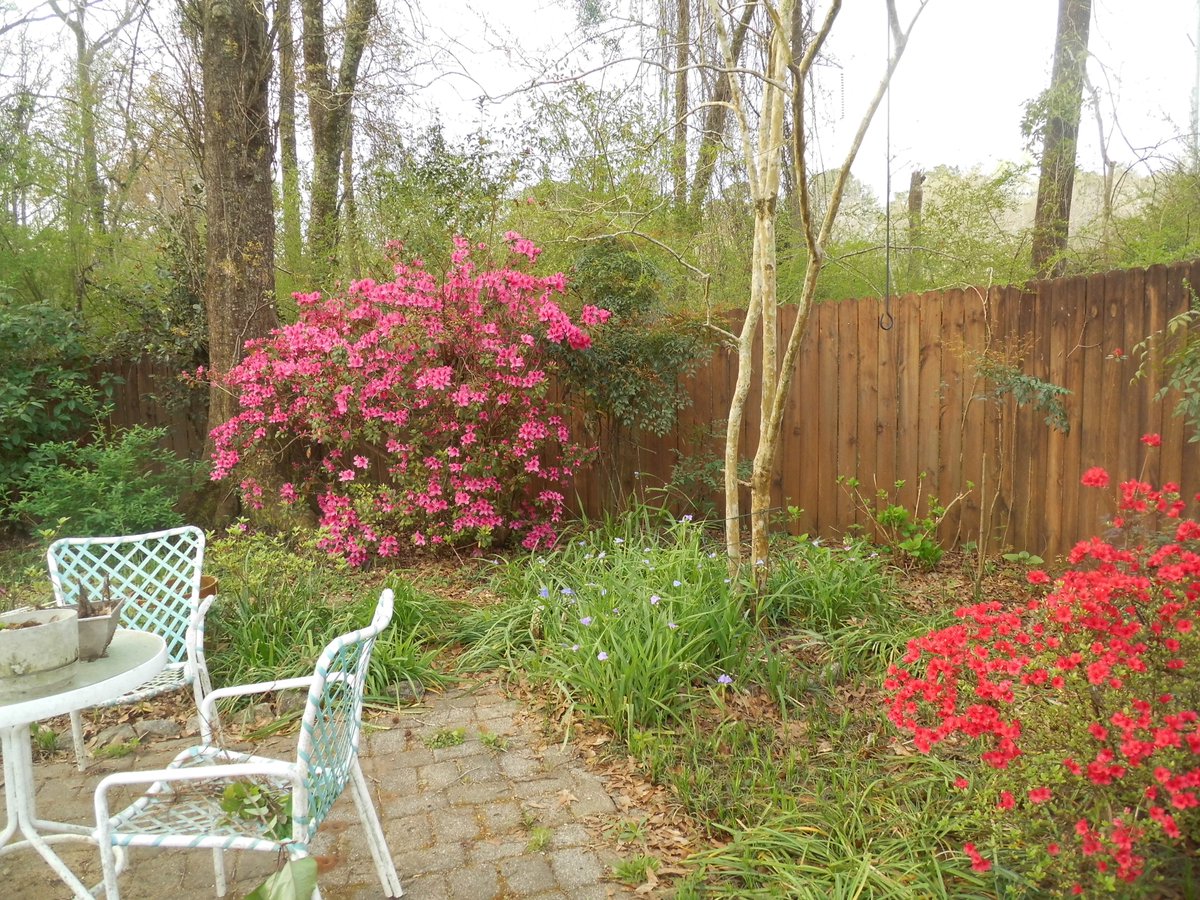 Dottie Lovelady Rogers tweet media