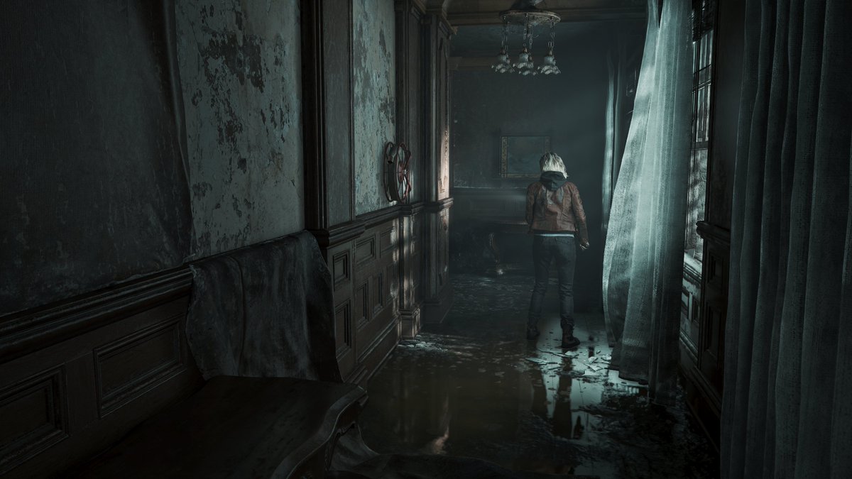 Cuculus 📸 tweet media