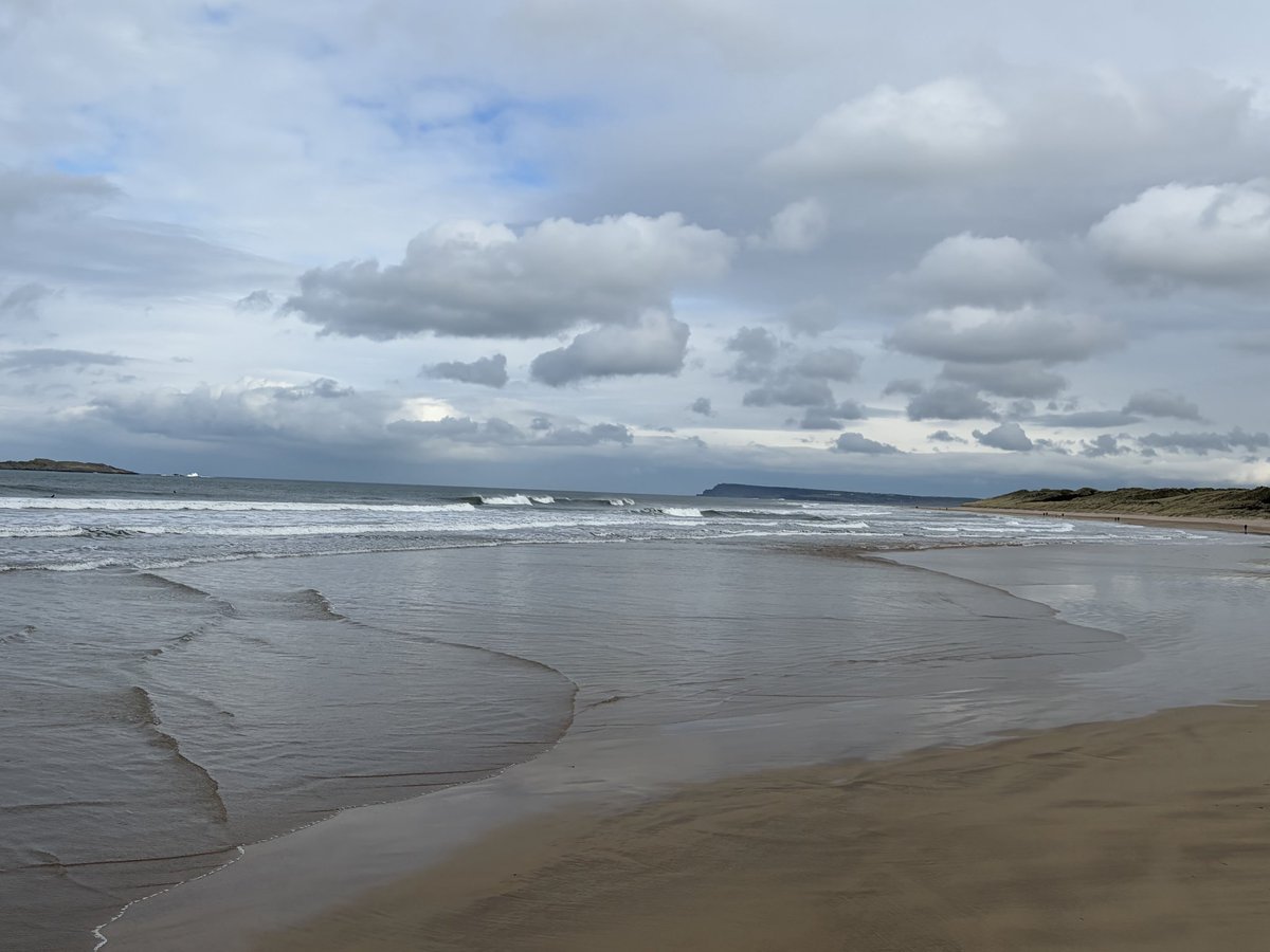 Tweeter of Wit tweet media