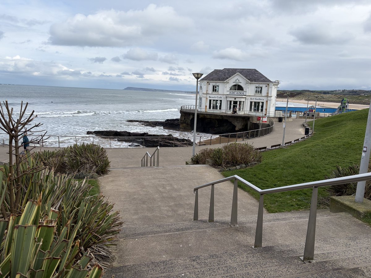 Tweeter of Wit tweet media