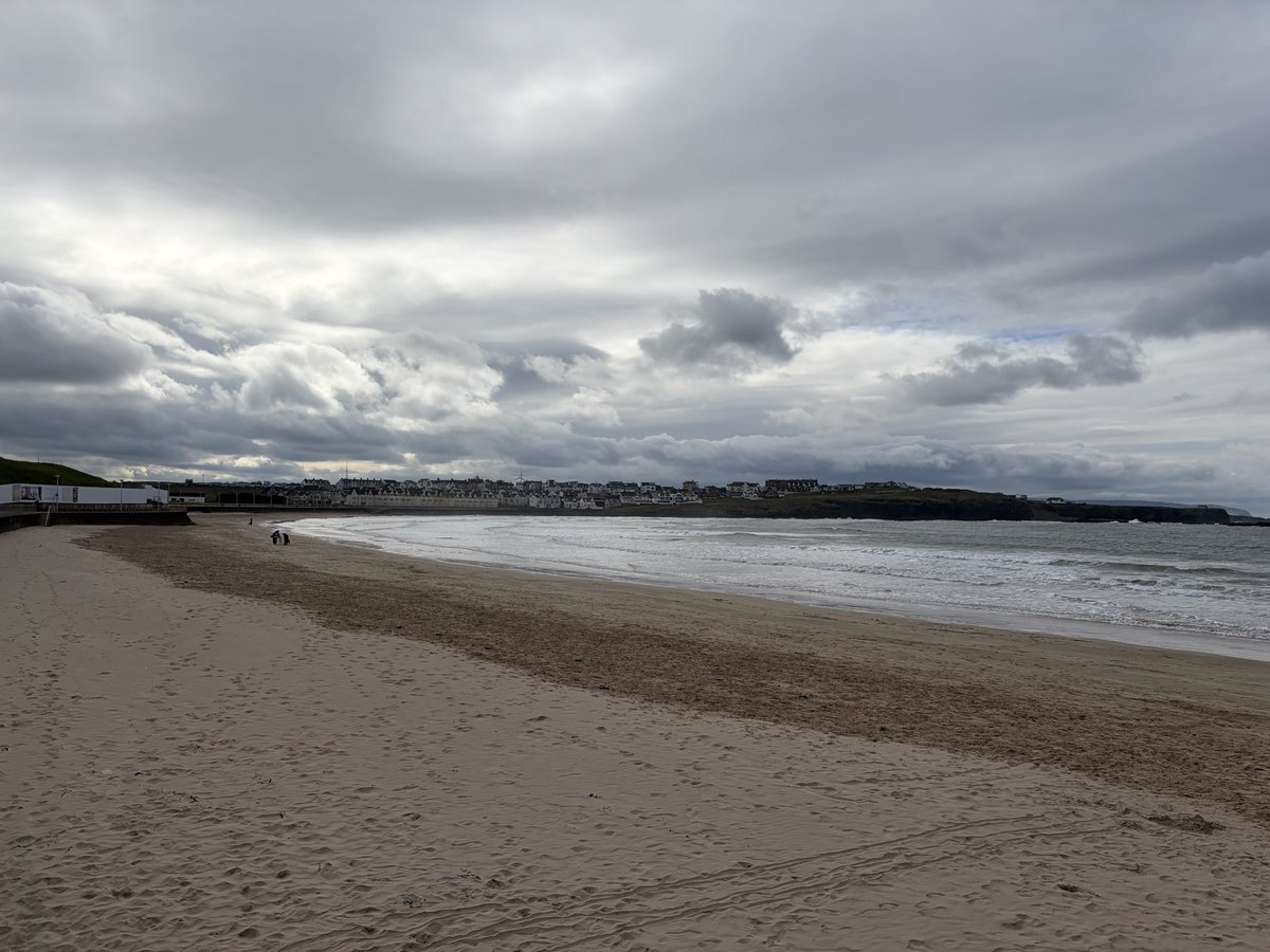 Tweeter of Wit tweet media