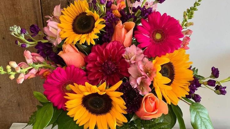 Soft Petals tweet media