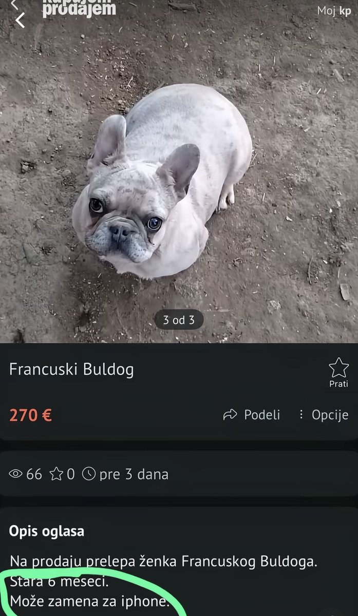 Милош tweet media