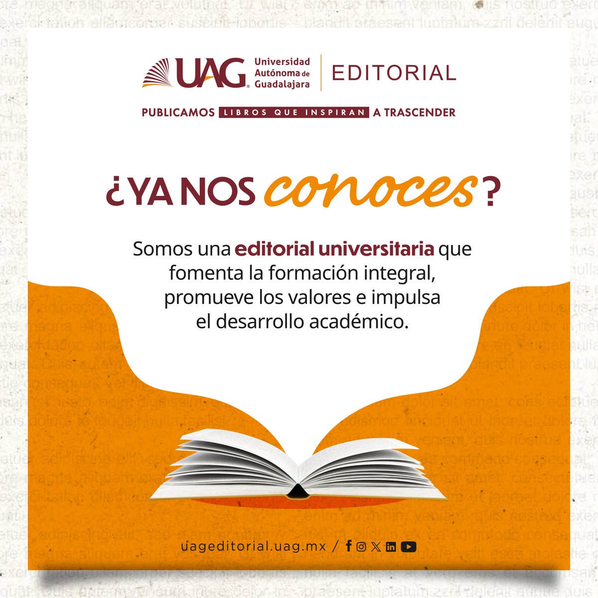 UAG Editorial tweet media