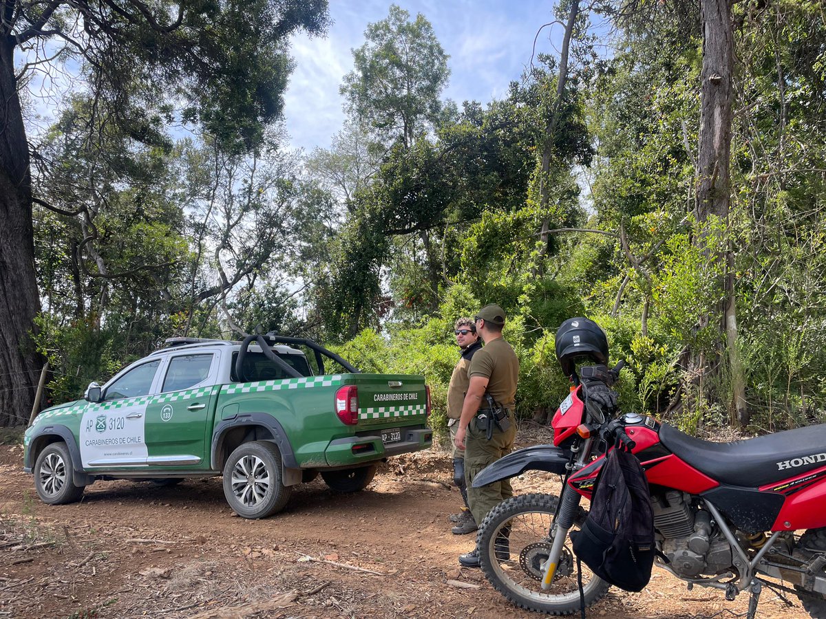 CONAF Biobío tweet media