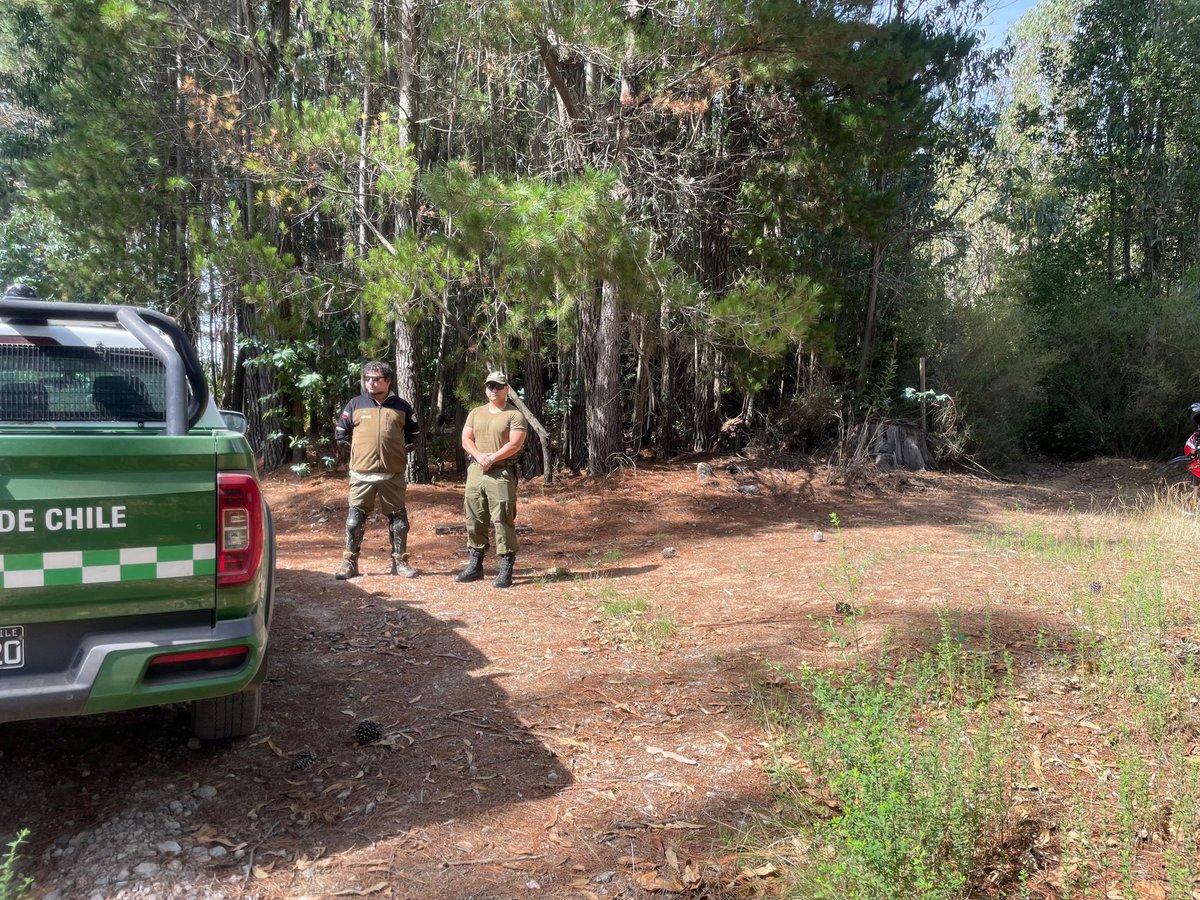 CONAF Biobío tweet media