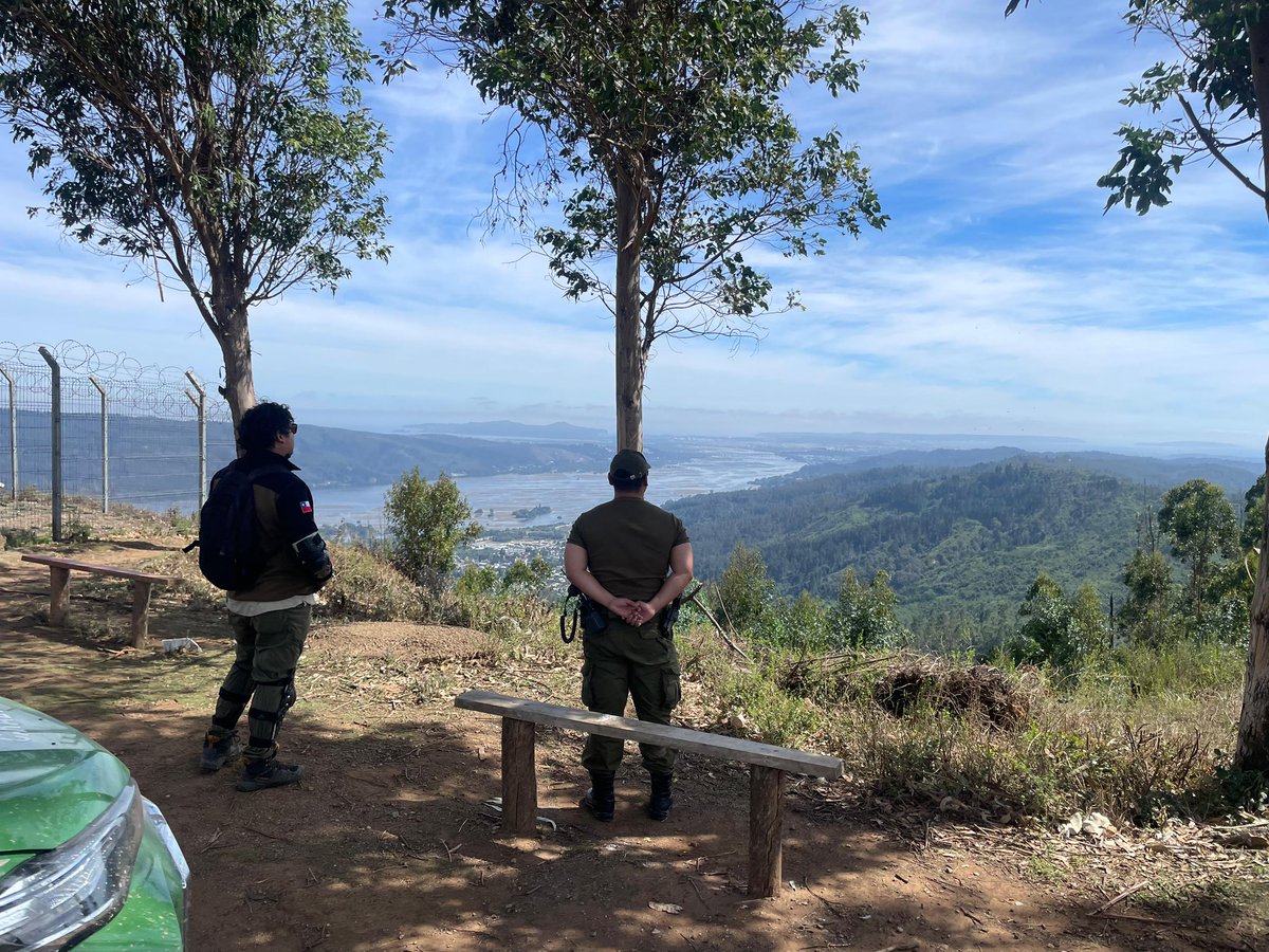 CONAF Biobío tweet media