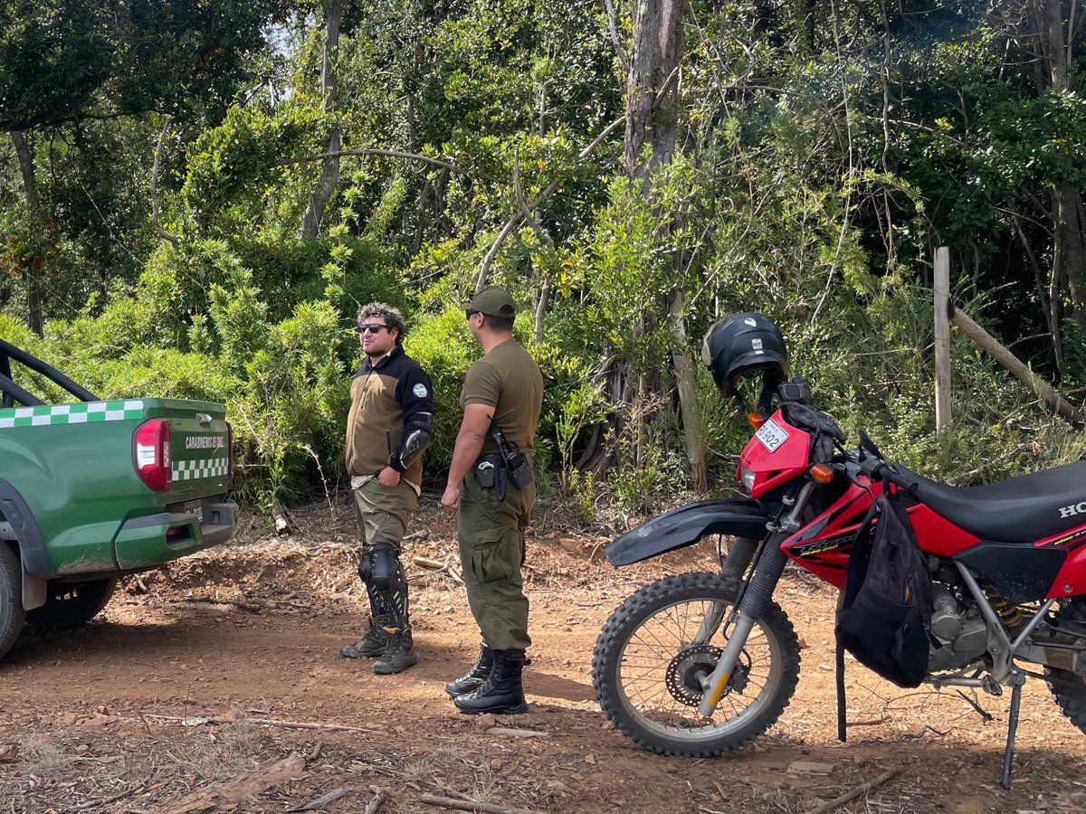 CONAF Biobío tweet media